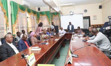 Adoption d'un plan stratégique national d'investissement agro-sylvo-pastoral au Burkina Faso