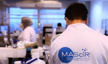 L'Afrique se tourne vers la production locale de diagnostics pour combattre le cancer