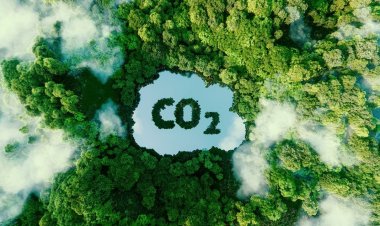Les projets d'élimination du CO2 actuels sont largement insuffisants pour atteindre les objectifs climatiques