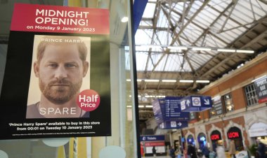 Le livre "Suppléant" de Harry : révélations surprenantes de la vie à l'intérieur de la famille royale