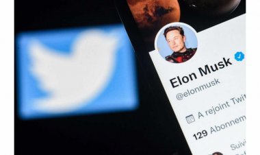 Twitter se met au premium avec l'abonnement zéro pub d'Elon Musk