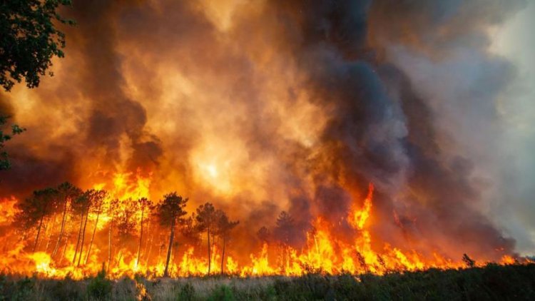 La planète brûle : l'année 2022 plus chaude que jamais
