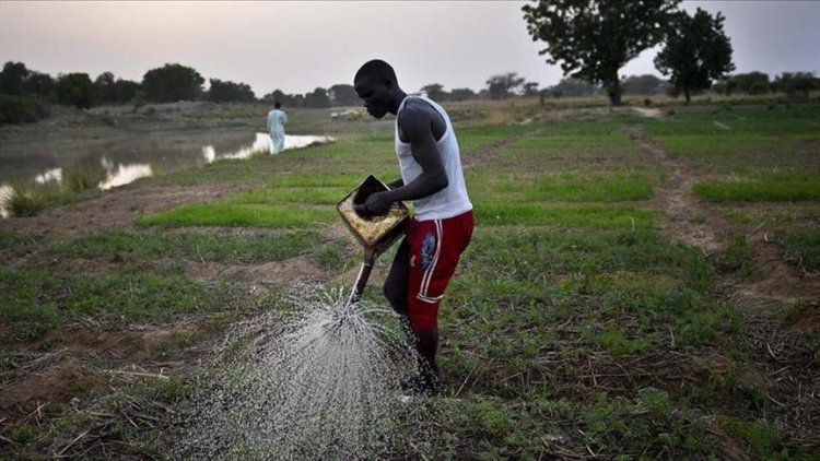 Vers l'autosuffisance alimentaire : l'Afrique se tourne vers son propre continent