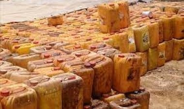 Victoire contre le terrorisme : Les forces armées du Niger interceptent une importante livraison destinée aux groupes terroristes