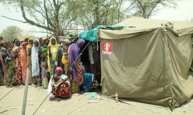 Crise Humanitaire et Sécurité Alimentaire au Niger : Causes et Solutions Urgentes