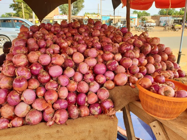 Inflation et blocus : La crise des frontières entre le Niger et le Bénin fait flamber les prix