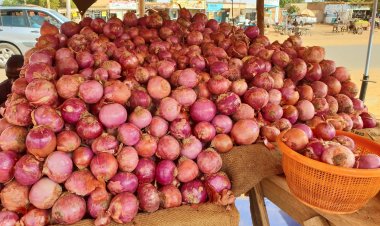 Fermeture de Frontière Niger-Bénin : Impact Désastreux sur le Marché de Malanville