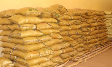 Initiative 'Zantchen Kassa, Labou Sanni' au Niger : Riz à Prix Réduit pour Lutter contre la Vie Chère