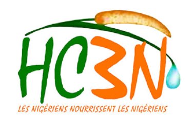 Dissolution de l'Initiative 3N : Réorganisation Stratégique par le Général Tiani au Niger