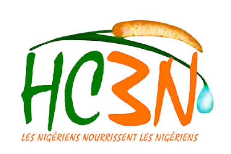 Dissolution de l'Initiative 3N : Réorganisation Stratégique par le Général Tiani au Niger