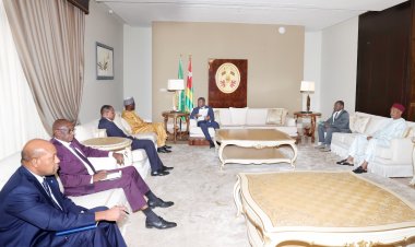 Démarrage de la campagne nigérienne pour l'élection du Directeur Régional de l'OMS Afrique : La délégation reçue par le Président togolais